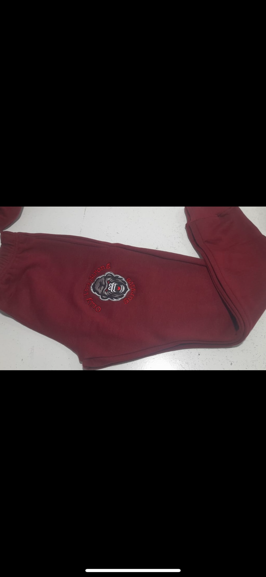 Red Blaze Hoodie/Pants